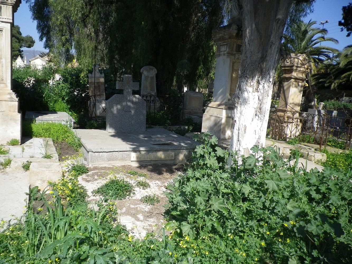 CIMETIERE DE TAMAZOUHET D ORAN EN MARS 2012  (120).JPG